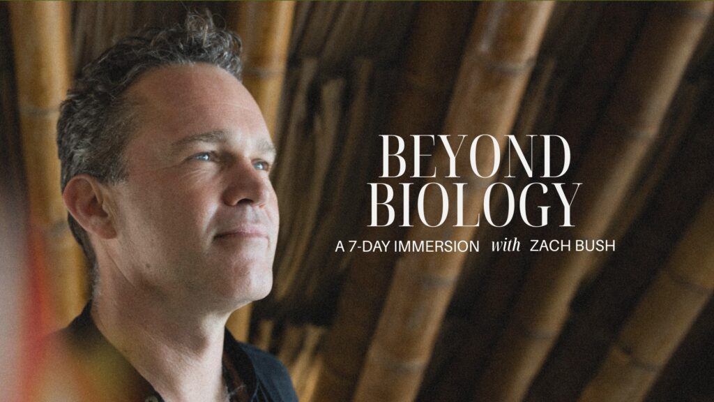 The programs featured image