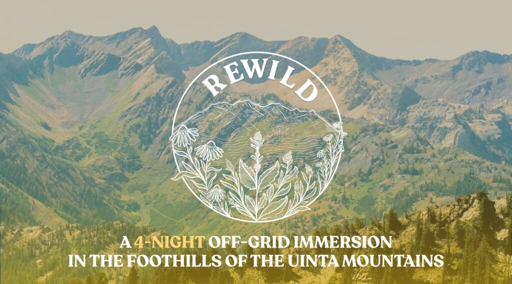 The programs featured image